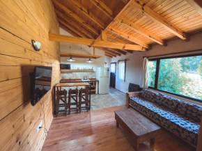 Estilo del Sur Villa La Angostura